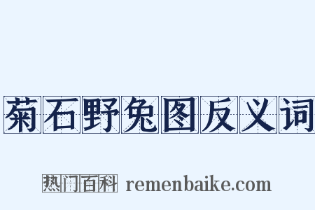 菊石野兔图反义词是什么意思的图片